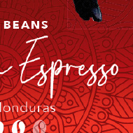 Coffee Beans - Food packaging - Newtree